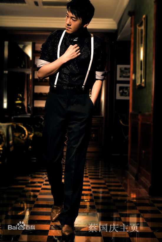 《蔡国庆》精彩图册