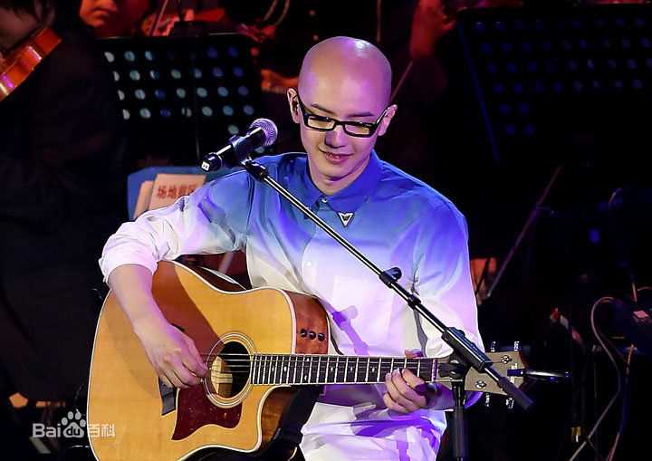 平安(Anson) 邓丽君60纪念演唱会生活照相册