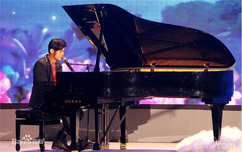 平安(Anson) 公安部“禁毒之战2014”特别节目图片图册