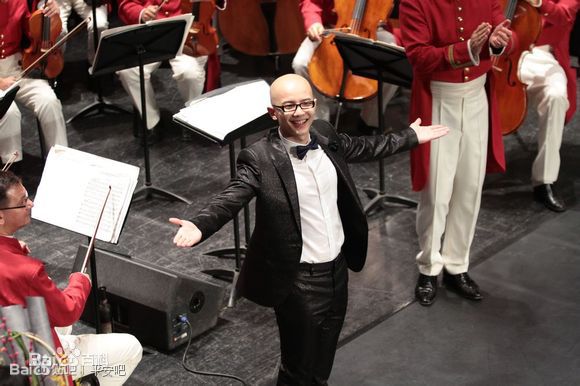 平安(Anson)  维也纳交响乐团2014年跨年图片图集