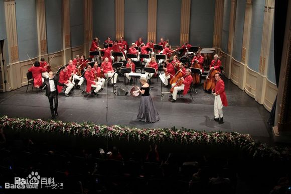 平安(Anson)  维也纳交响乐团2014年跨年图片图集