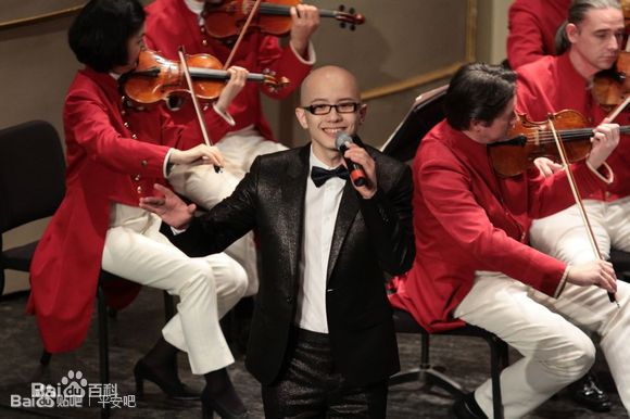 平安(Anson)  维也纳交响乐团2014年跨年图片图集