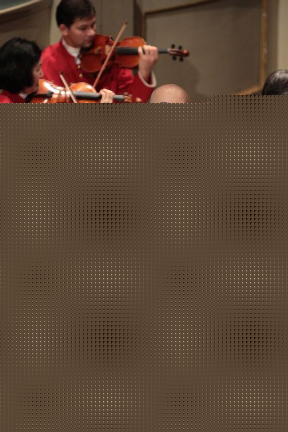 平安(Anson)  维也纳交响乐团2014年跨年图片图集