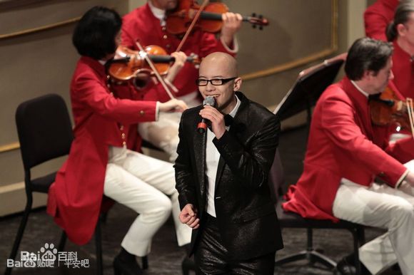 平安(Anson)  维也纳交响乐团2014年跨年图片图集