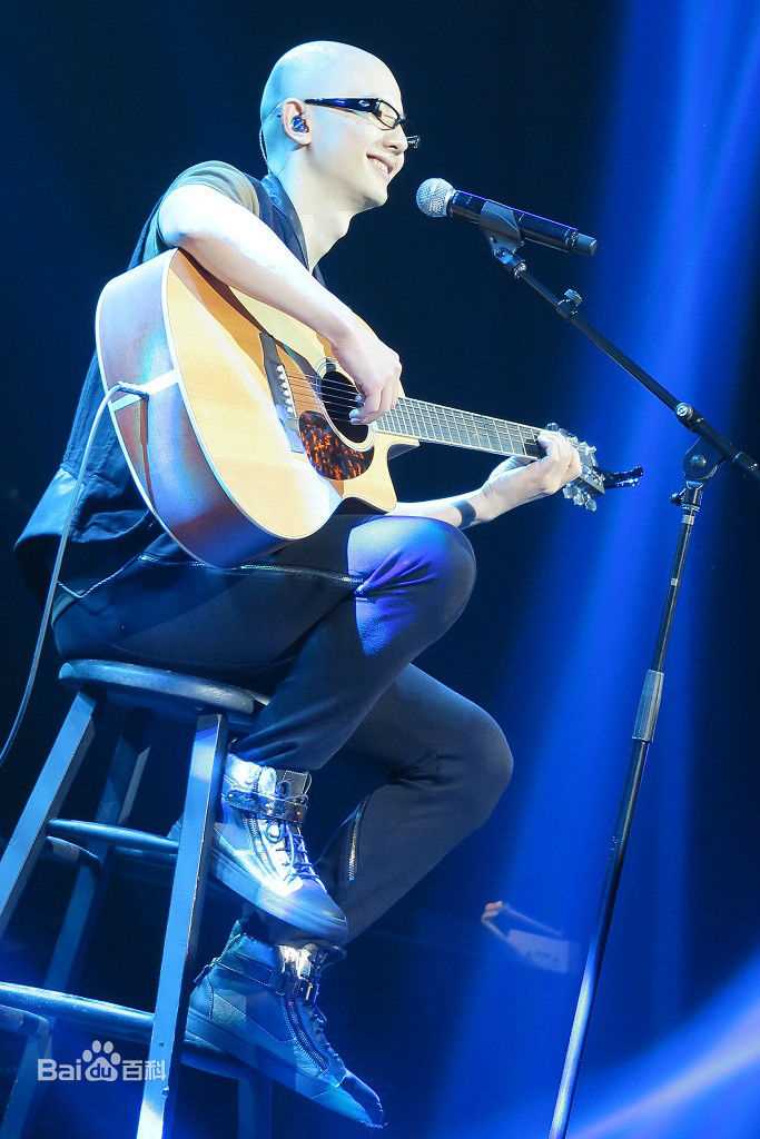 平安(Anson)世界巡回演唱会 温哥华首站图片图册