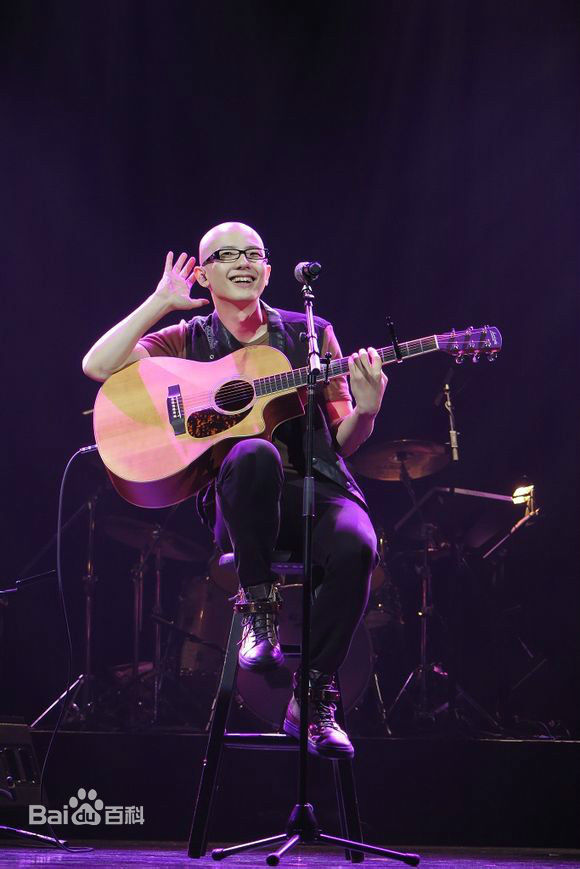 平安(Anson)世界巡回演唱会 温哥华首站图片图册