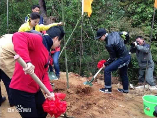 平安(Anson)参加前后照片