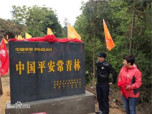 平安(Anson)参加前后照片