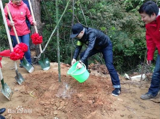 平安(Anson)参加前后照片