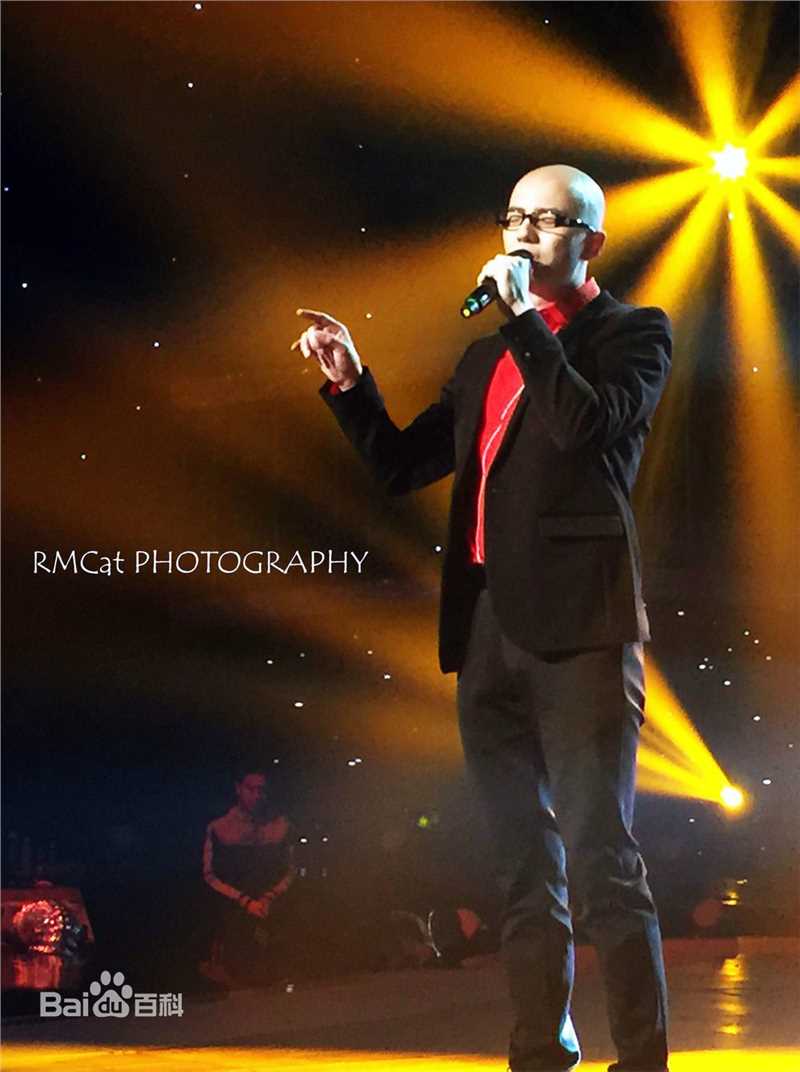 平安(Anson) 国际情歌大汇图片图册