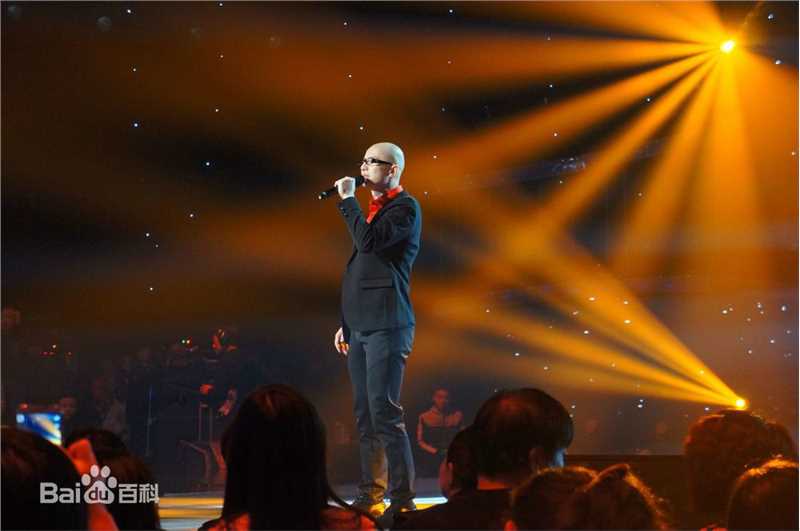 平安(Anson) 国际情歌大汇图片图册