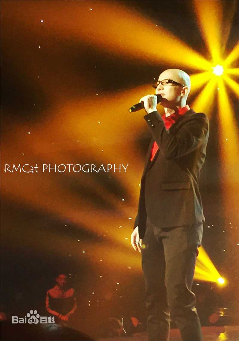 平安(Anson) 国际情歌大汇图片图册