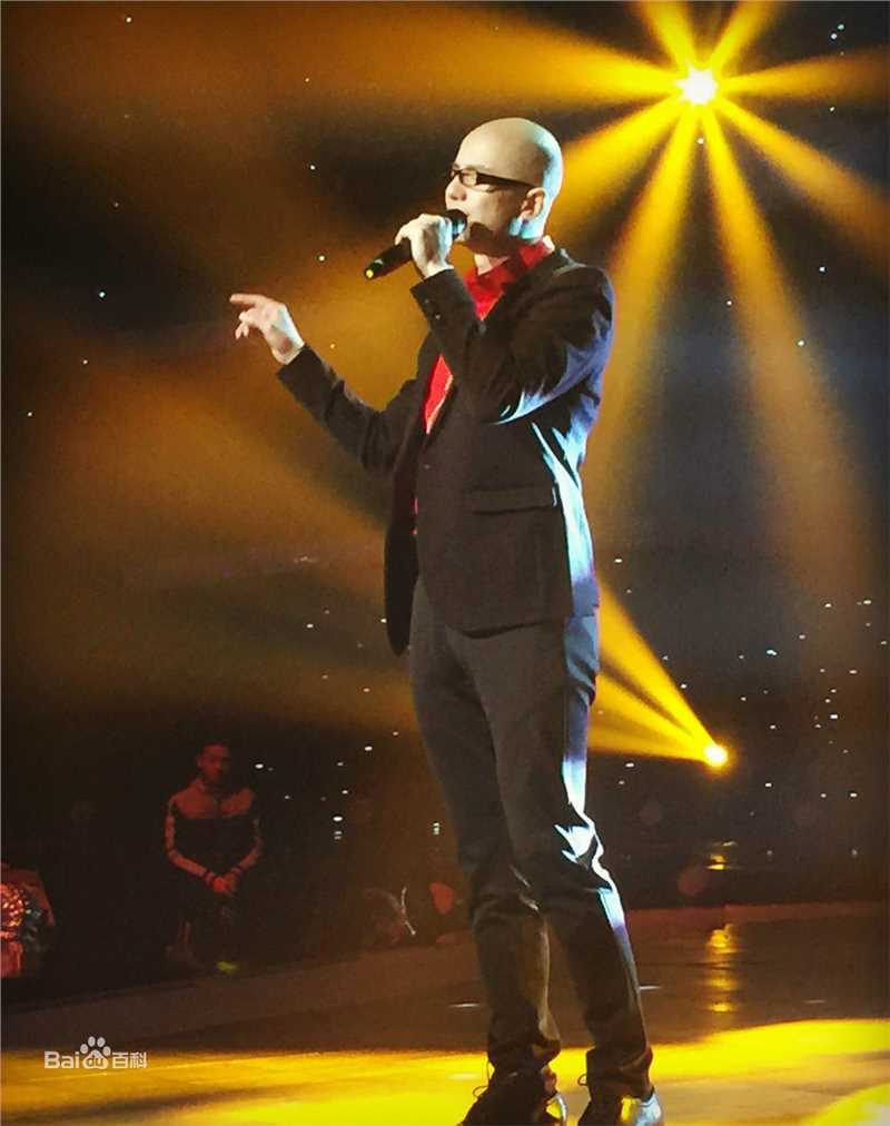 平安(Anson) 国际情歌大汇图片图册