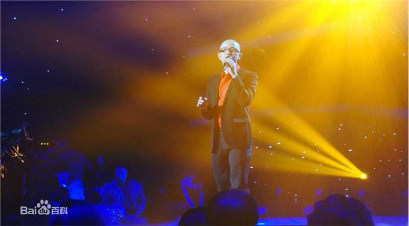 平安(Anson) 国际情歌大汇图片图册