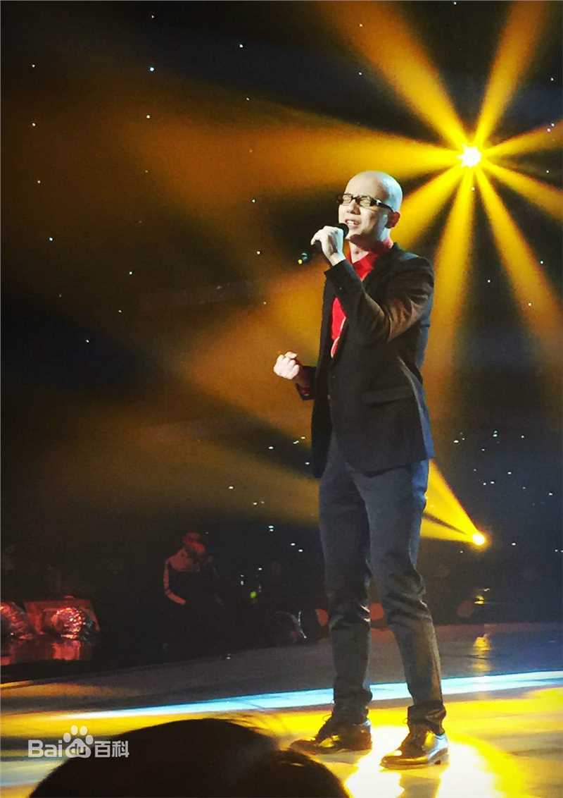 平安(Anson) 国际情歌大汇图片图册