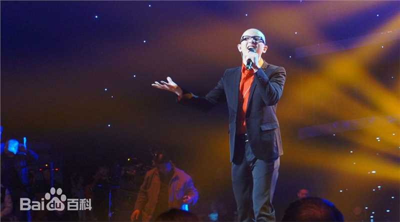 平安(Anson) 国际情歌大汇图片图册