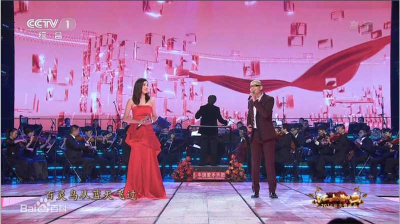 平安(Anson)献唱 2015央视国庆音乐会图片图集