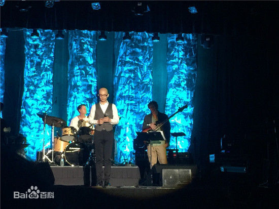 平安(Anson)2016洛杉矶演唱会图片图集