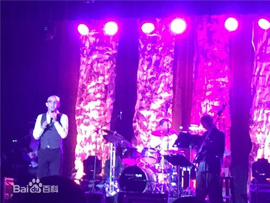 平安(Anson)2016洛杉矶演唱会图片图集
