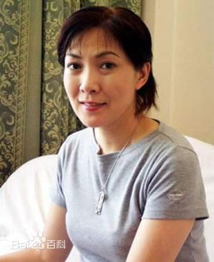 《沈丹萍》封面图片