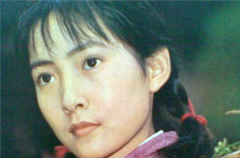 《沈丹萍》封面图片