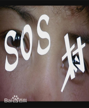 《沈丹萍》封面图片