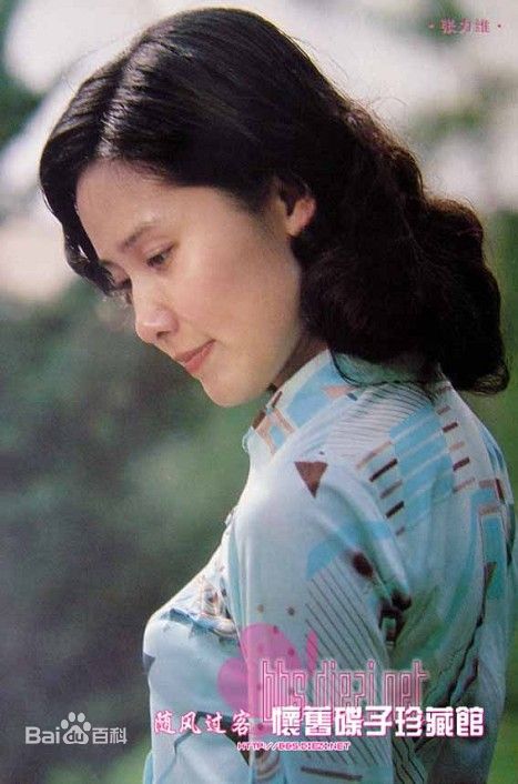 张力维电影形象集锦