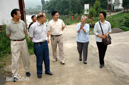 《夏宗佑》封面图片