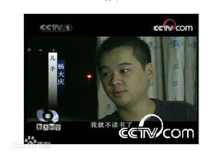 《杨大庆》封面图片