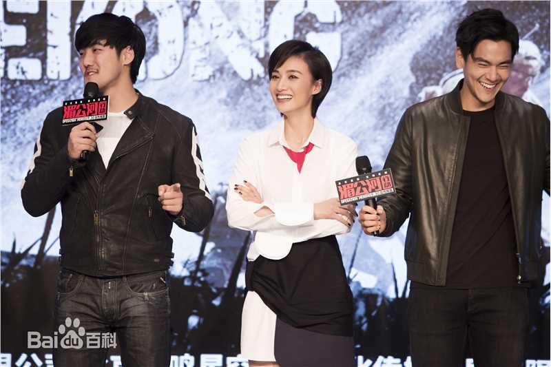 最全冯文娟(Joyce)在《湄公河行动发布会》中的壁纸