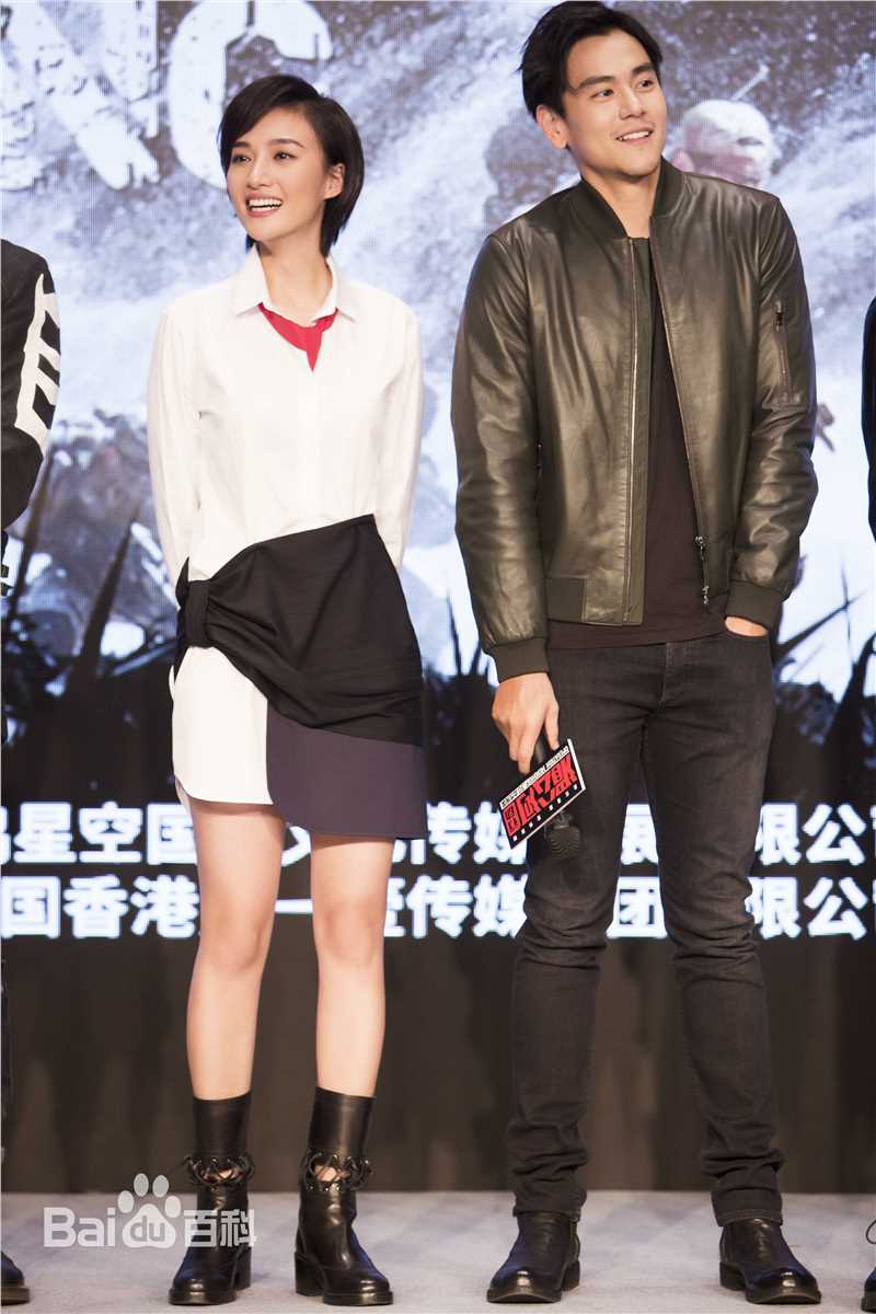 最全冯文娟(Joyce)在《湄公河行动发布会》中的壁纸