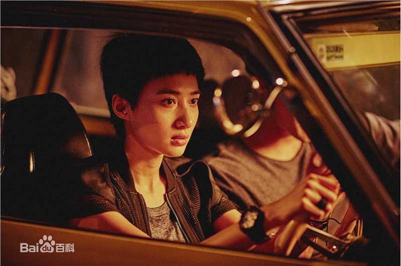 最优质冯文娟(Joyce)在《湄公河行动》中的相册