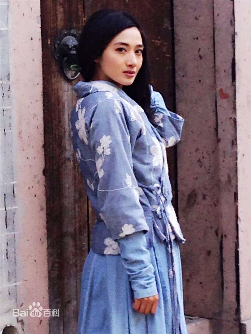 高清冯文娟(Joyce)在《龙门飞甲》中的图集