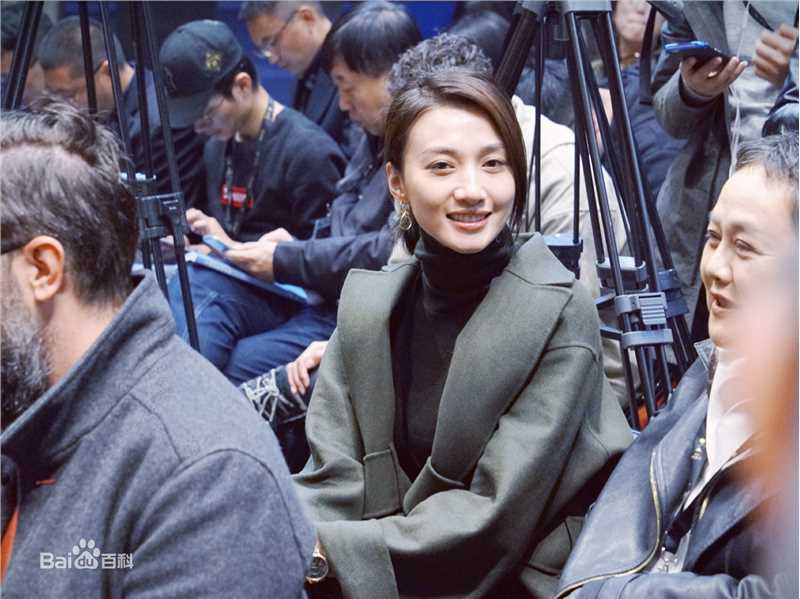 冯文娟(Joyce)平遥国际电影节图册