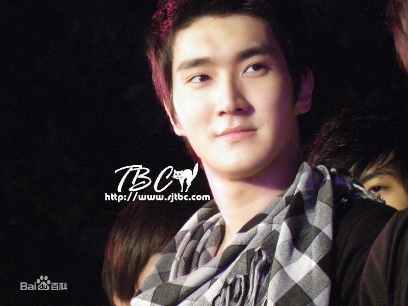 精选崔始源(Choi Siwon)