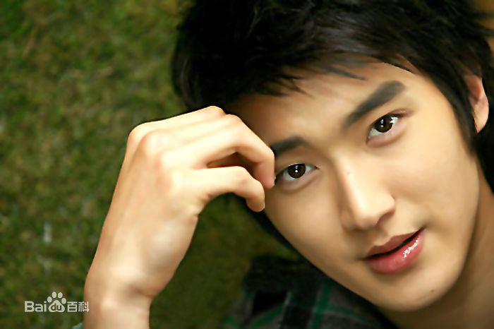 精选崔始源(Choi Siwon)