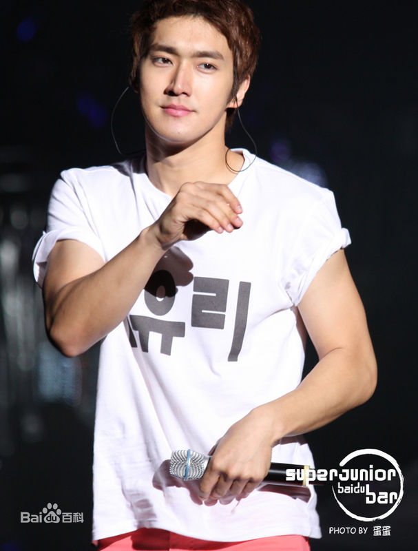 精选崔始源(Choi Siwon)