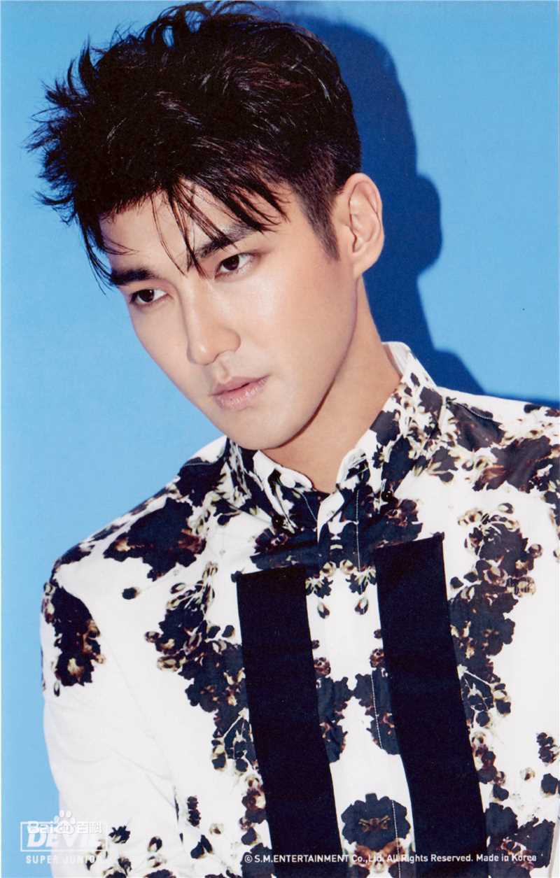 崔始源(Choi Siwon)专辑造型素颜照相册