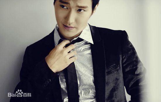 崔始源(Choi Siwon)专辑造型素颜照相册