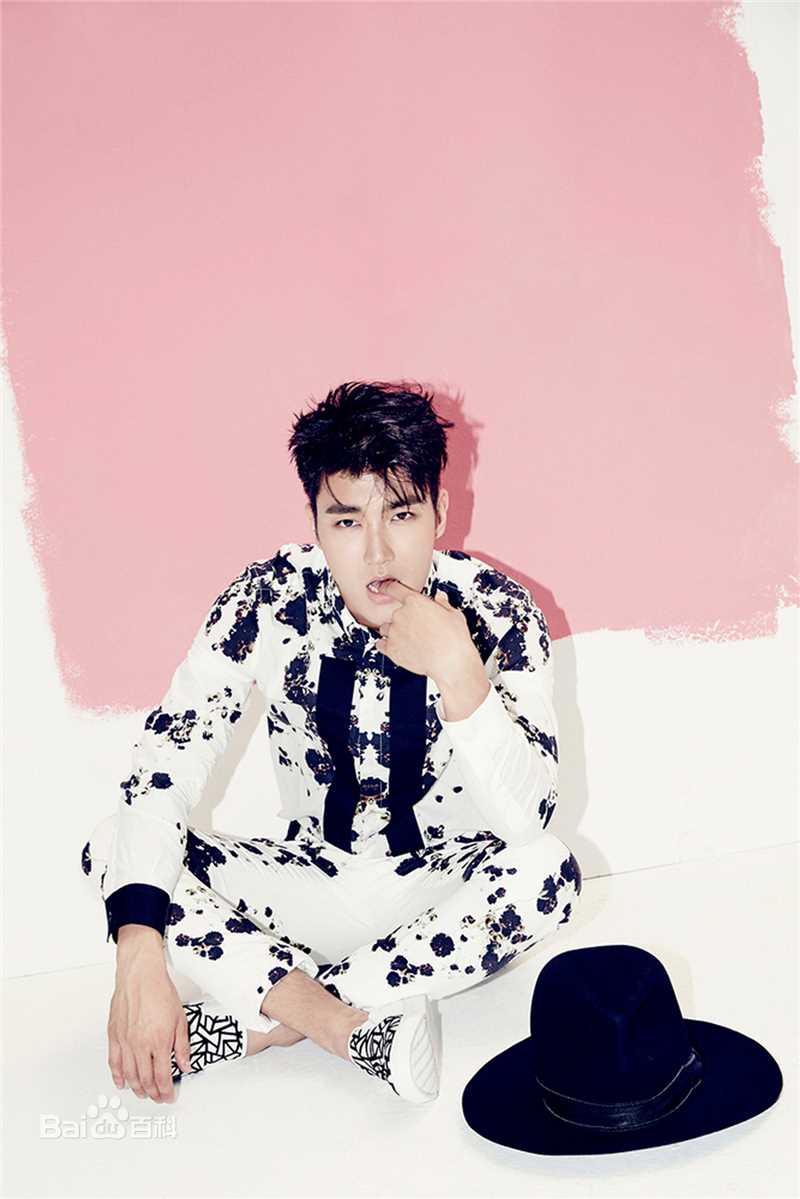 崔始源(Choi Siwon)专辑造型素颜照相册