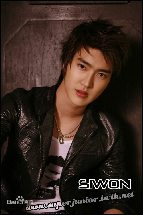 崔始源(Choi Siwon)专辑造型素颜照相册