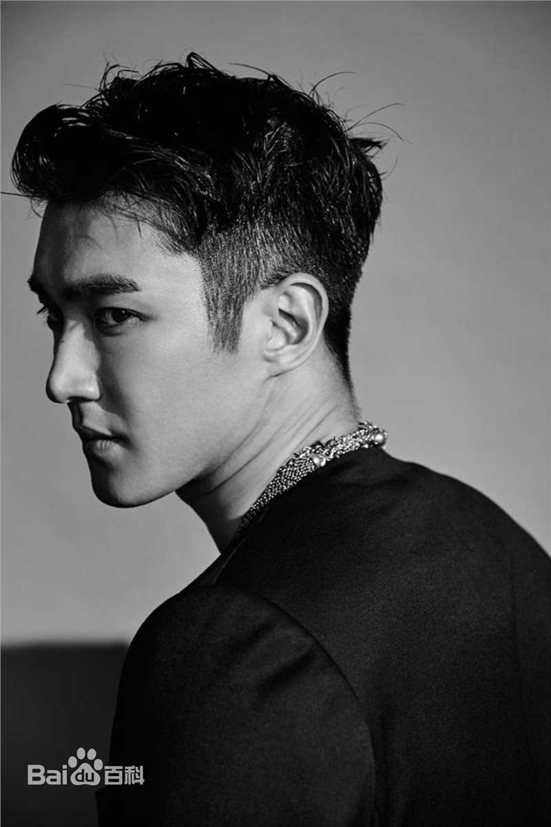 崔始源(Choi Siwon)专辑造型素颜照相册