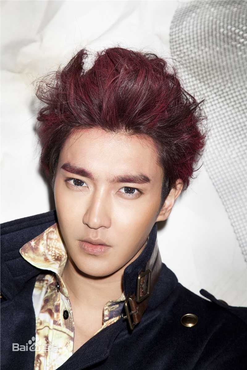 崔始源(Choi Siwon)专辑造型素颜照相册