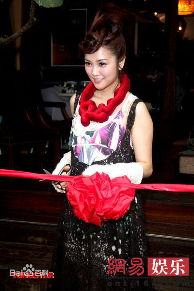 精选谢安琪(Kay Tse)精彩图册