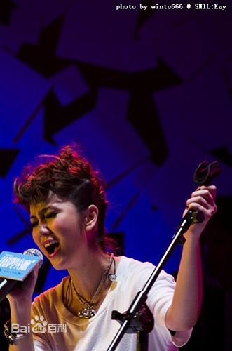 谢安琪(Kay Tse)音乐会照片前后照片