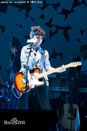 谢安琪(Kay Tse)音乐会照片前后照片