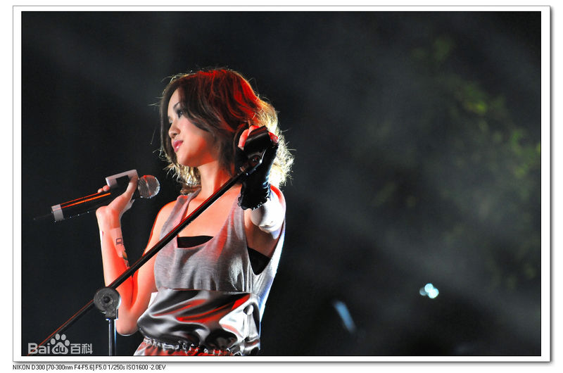 谢安琪(Kay Tse)音乐会照片前后照片
