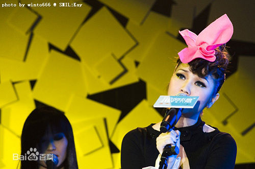 谢安琪(Kay Tse)音乐会照片前后照片