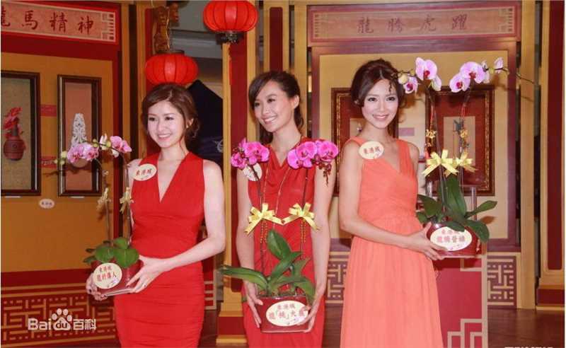 陈法拉(Fala Chen)出席活动照片图册