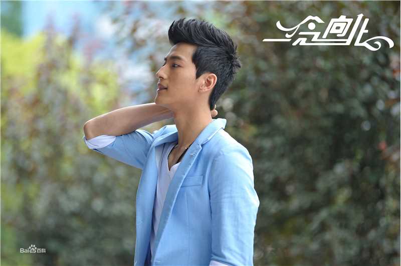 张峻宁《一念向北》